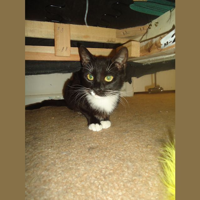 Photo of Edie