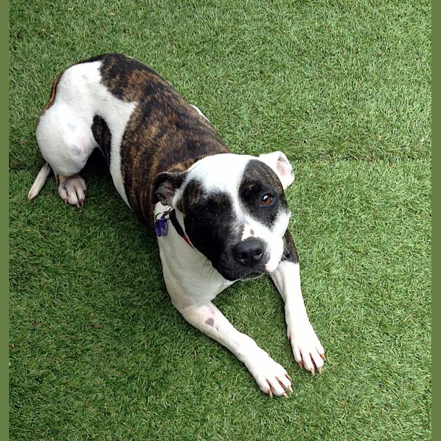 Photo of Nellie