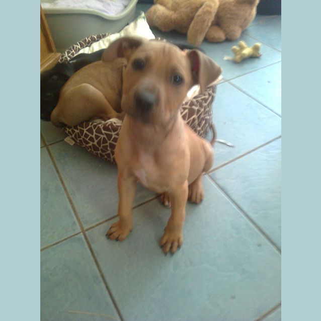 Photo of Riley