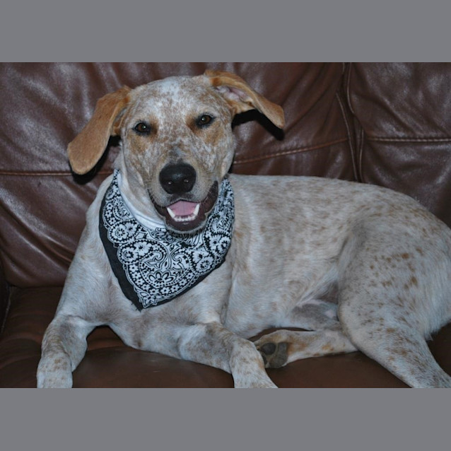 Photo of Evie (D2195) 