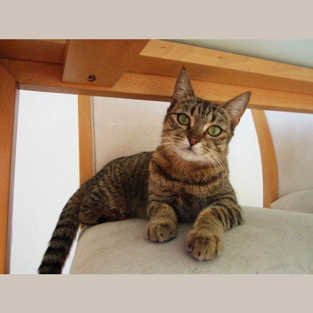 Photo of Shara