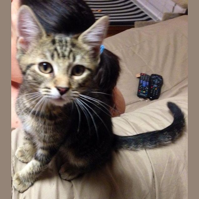 Photo of Oliver