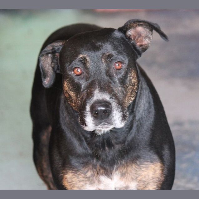 Photo of Marmite