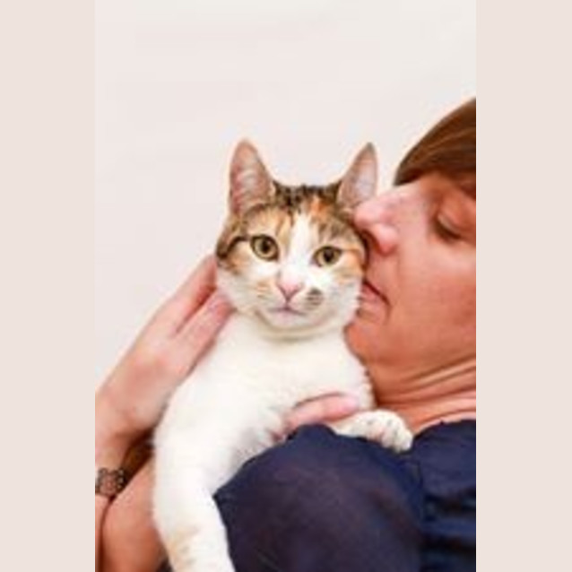 Photo of "Amy"   Purrfect Match