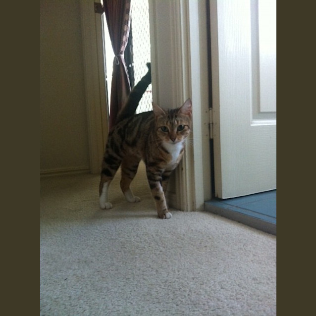 Photo of Luna