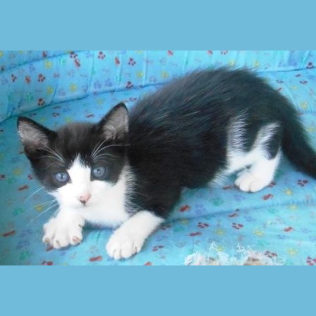 Photo of Maxie