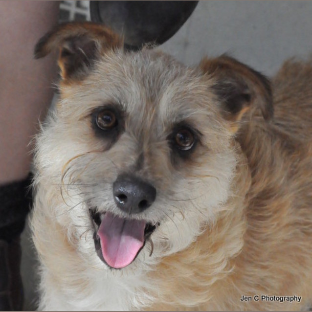 Photo of Penny