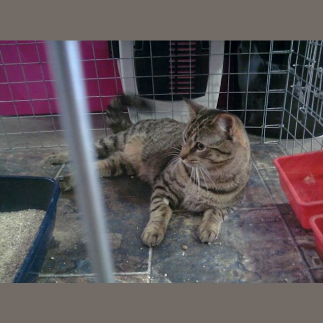 Photo of Matrix (C476)