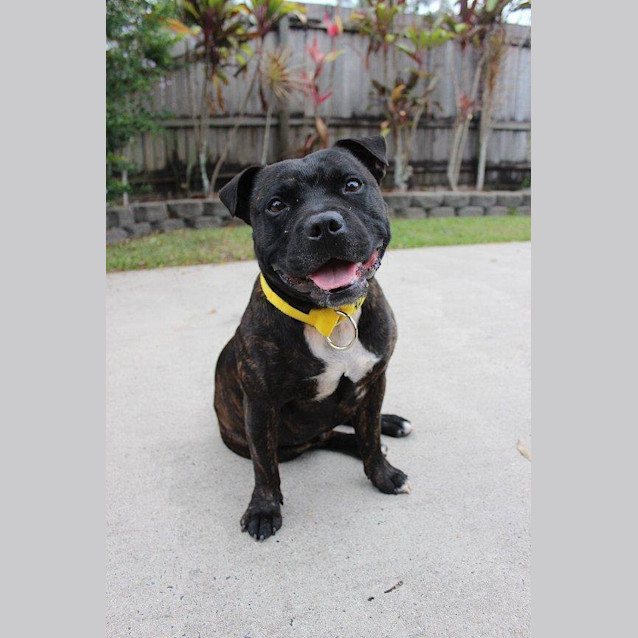 Photo of Mack