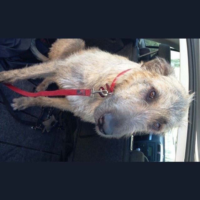 Photo of Molly 