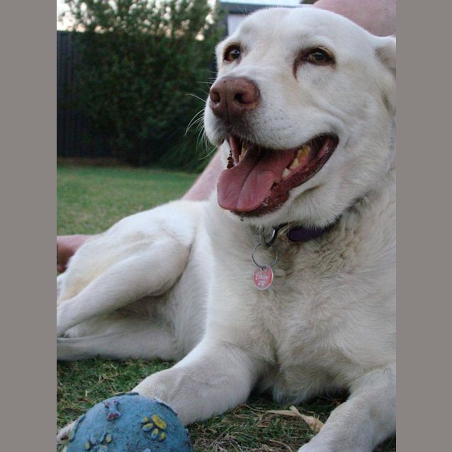 Photo of Chloe