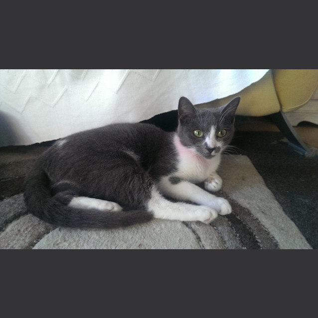 Photo of Tammy