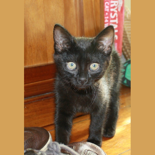 Photo of Mitsie