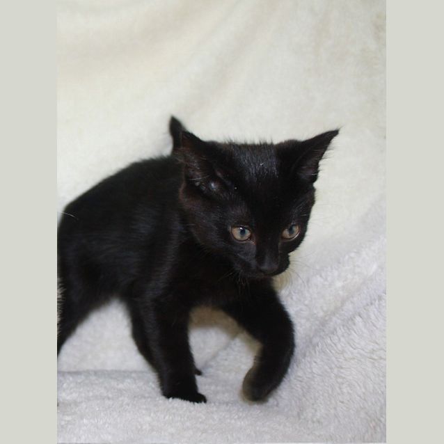 Photo of Maybie