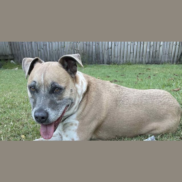 Photo of Syd (Aka Sydney) 