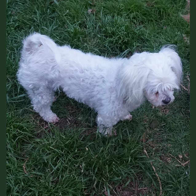 Photo of Gabby