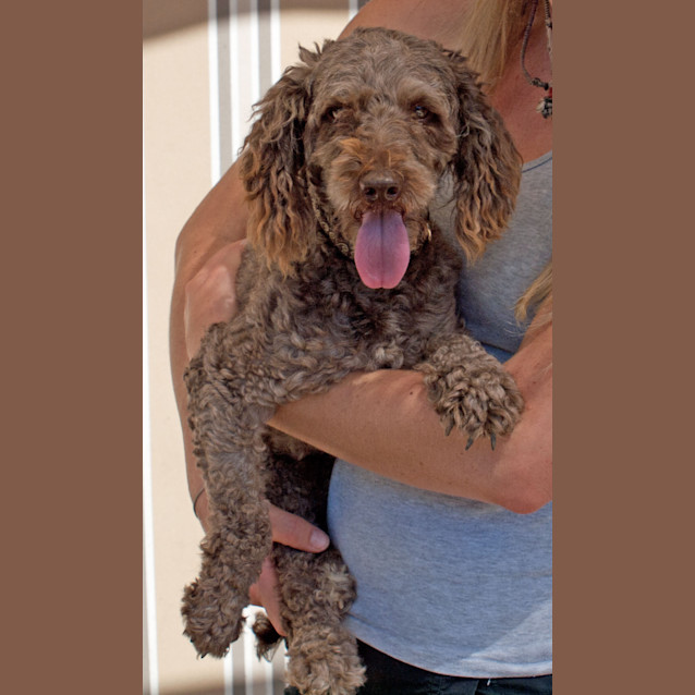 Photo of Milo4