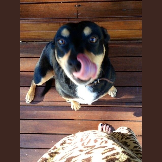 Photo of Spade