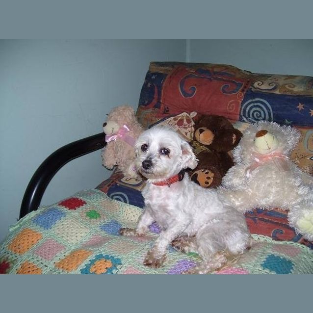 Photo of Jazz