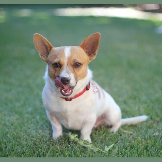 Photo of Benny
