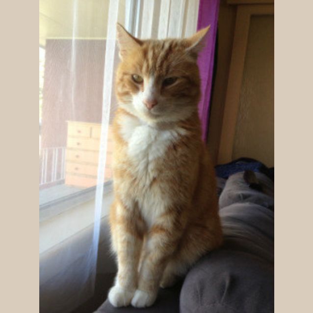 Photo of Mr Bronte