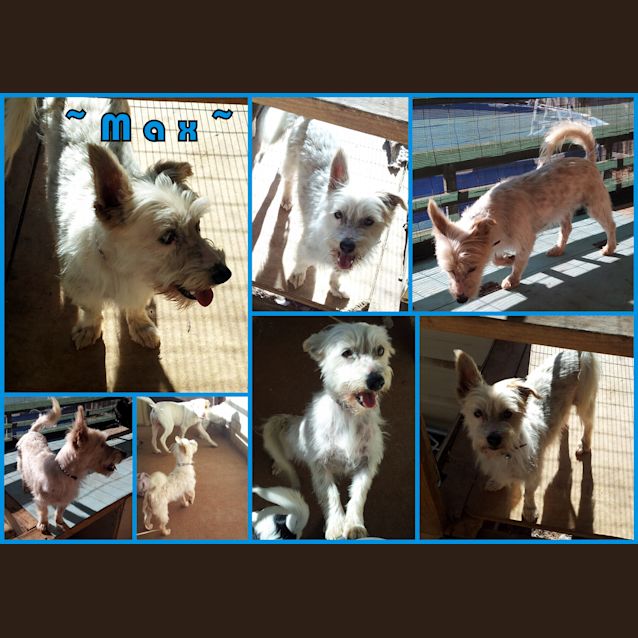 Photo of ~Max~ Your Next Great Mate!