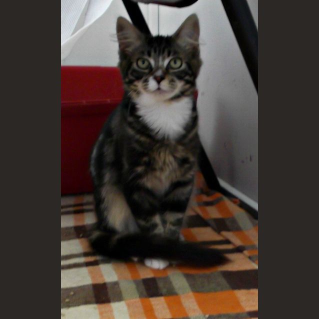 Photo of Marble