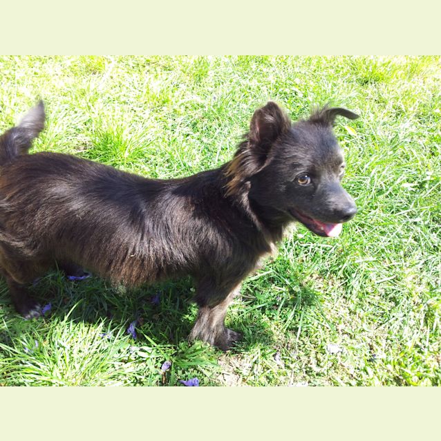 Photo of Frodo