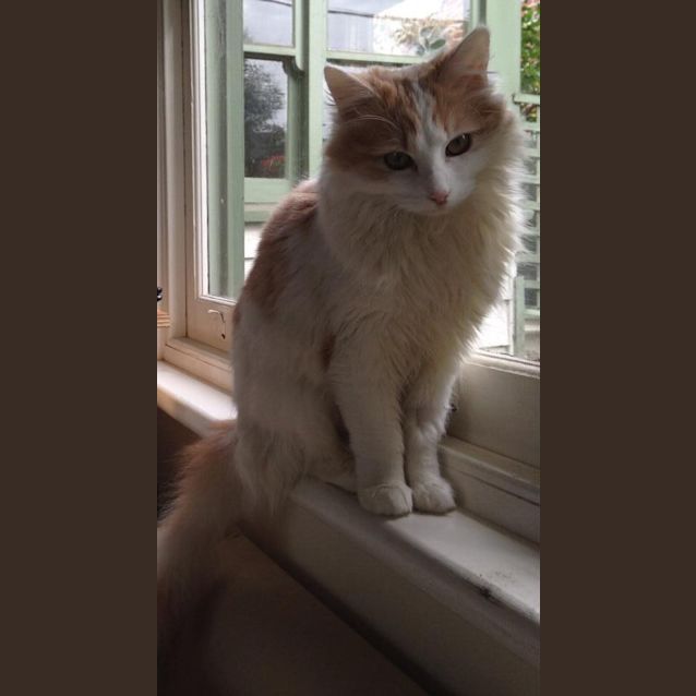 Photo of Bentley