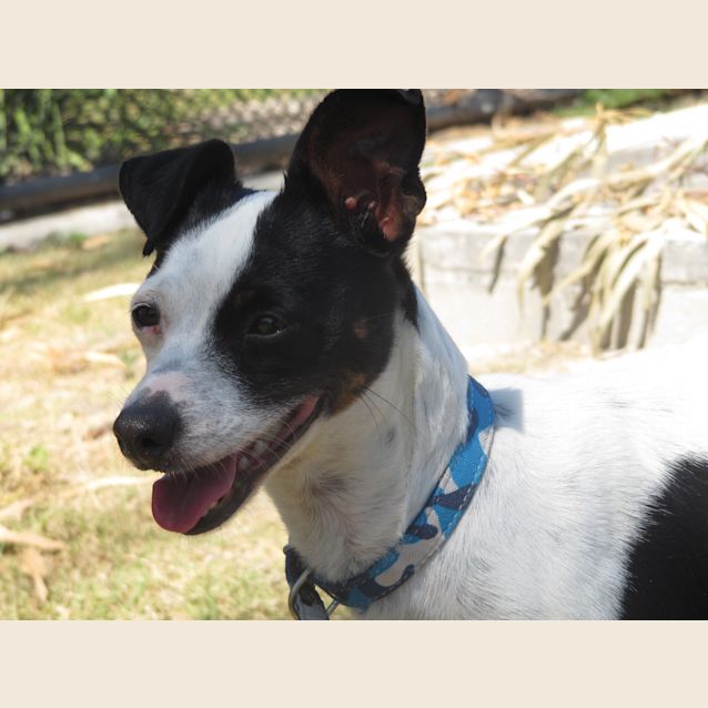 Photo of Sweetie