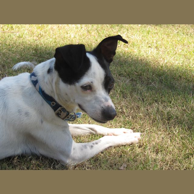 Photo of Sweetie