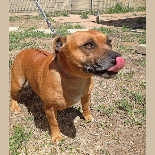 Photo of Maggie