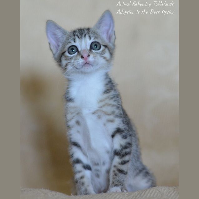 Photo of Milly