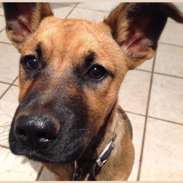 Photo of Gus