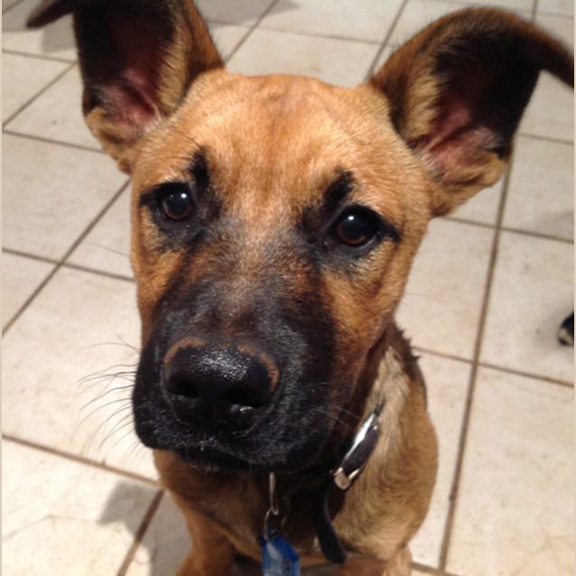 Photo of Gus