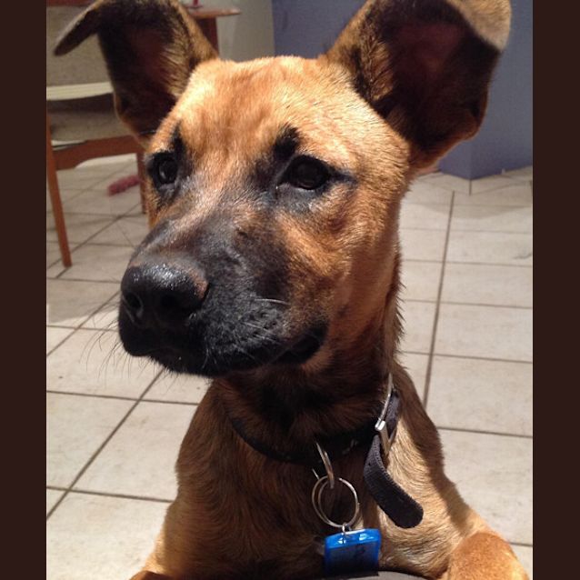 Photo of Gus