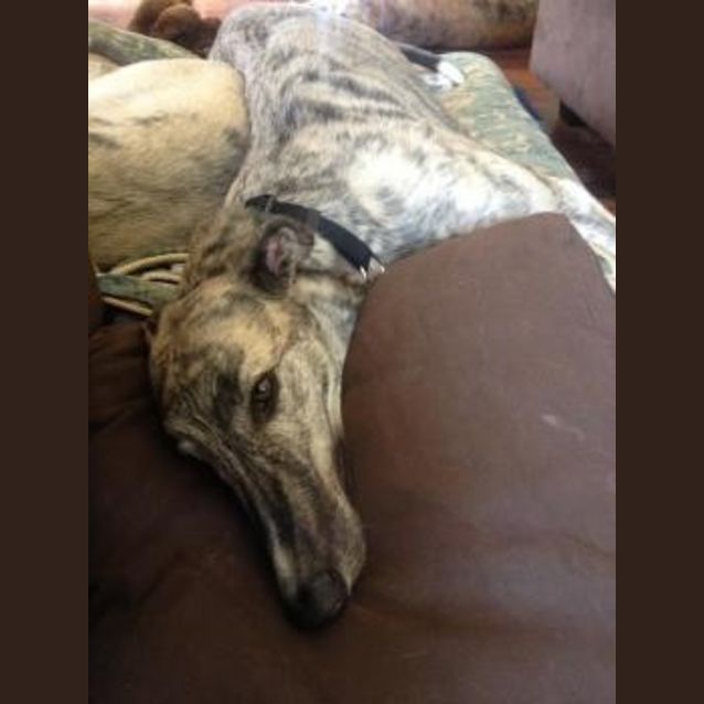 Photo of Owen