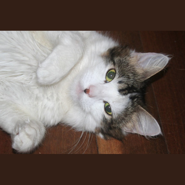 Photo of Maria