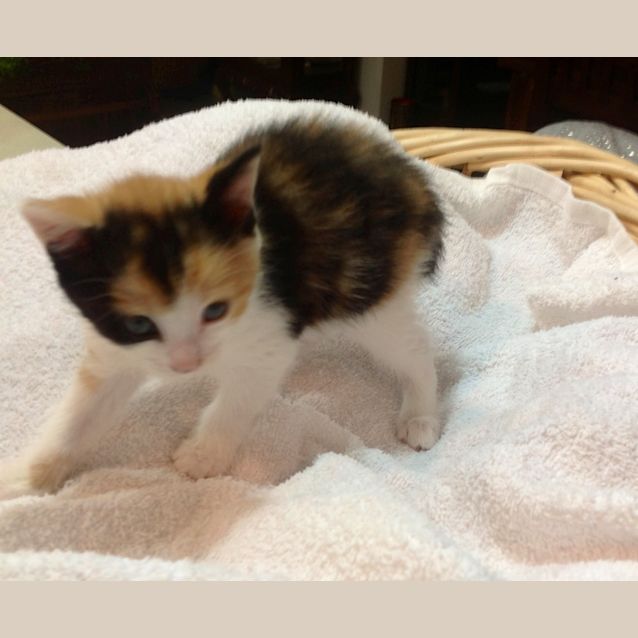 Photo of Maggie