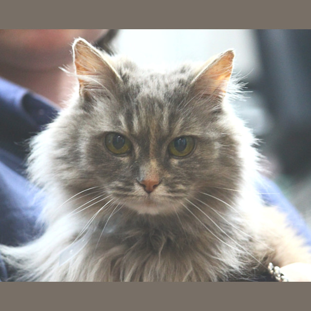 Photo of Tashie