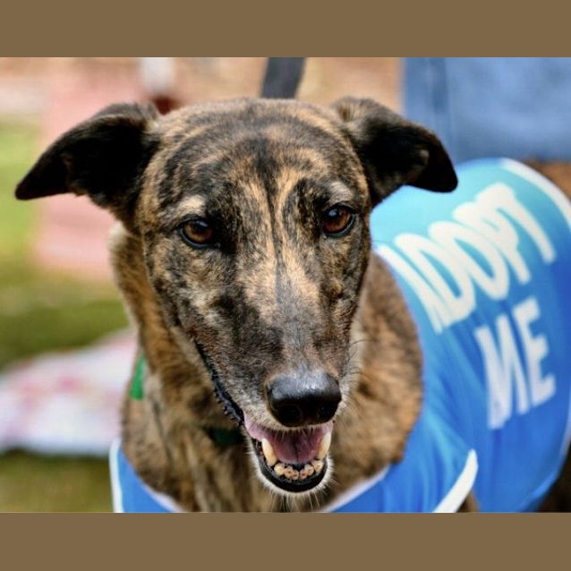 Photo of Bindi (Checking Out My New Home)