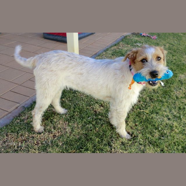 Photo of Libby *On Trial In Her New Home*