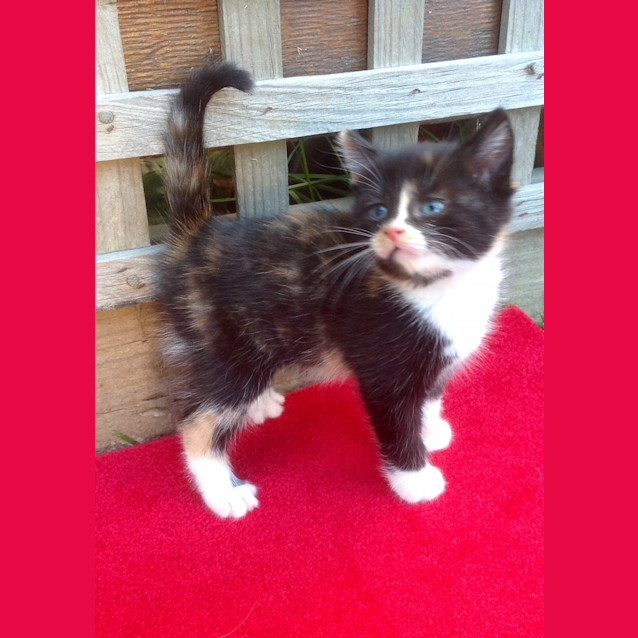 Photo of Mitzy