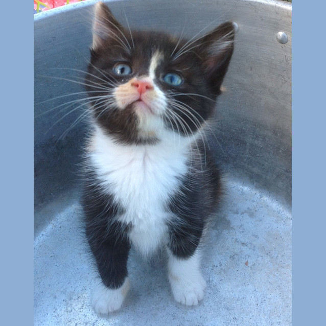 Photo of Mitzy