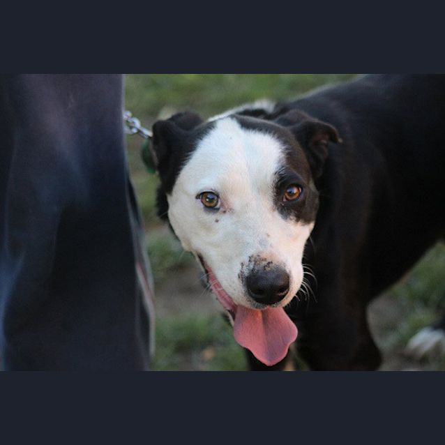 Photo of Jed