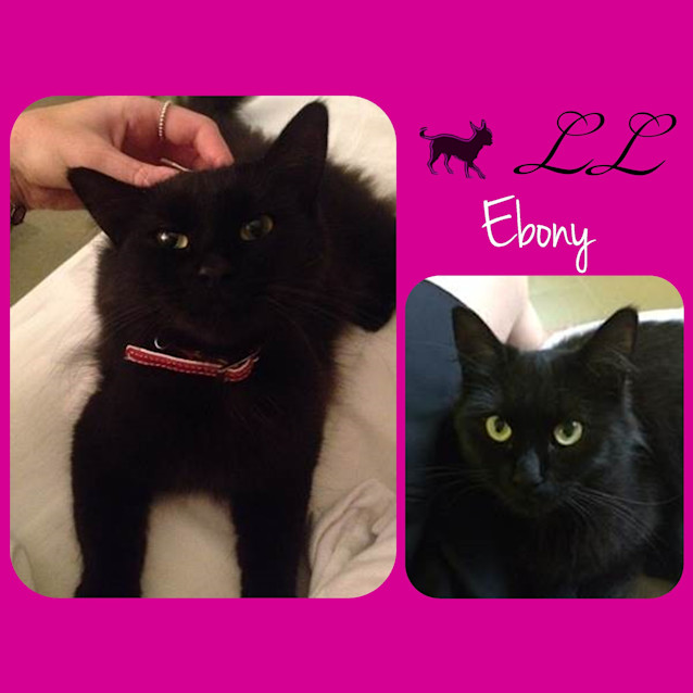 Photo of Ebony