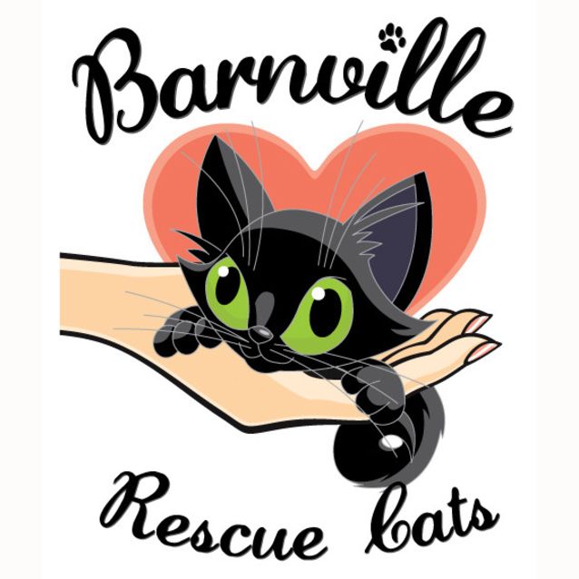 Photo of Bella (Burmese Cross)