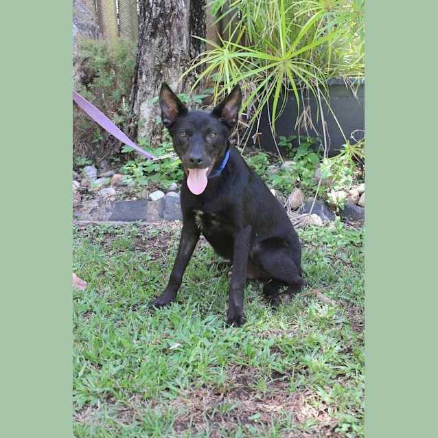 Photo of Tim