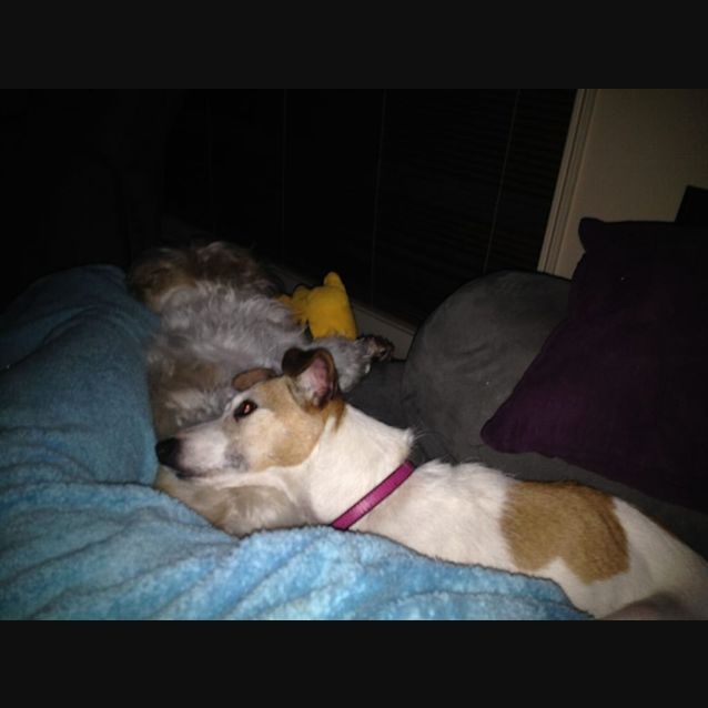 Photo of Chloe