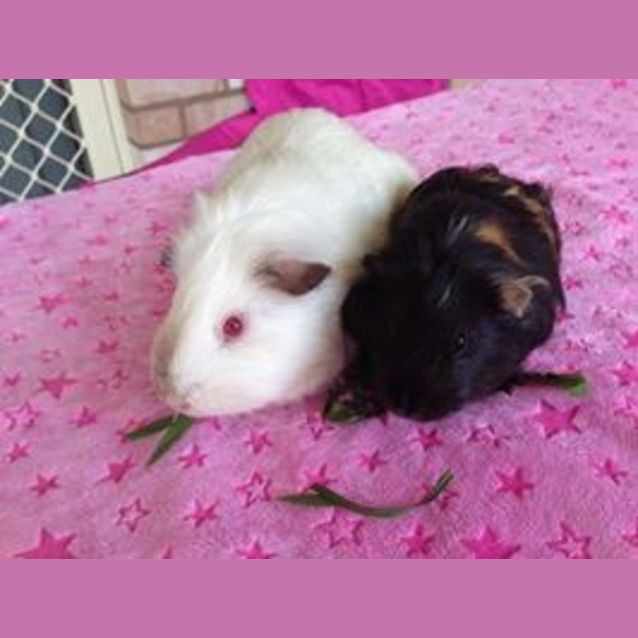 Photo of Penelope And Lily